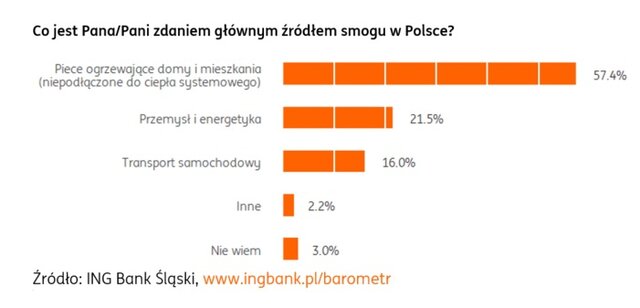 Co jest głównym źródłem smogu w Polsce?